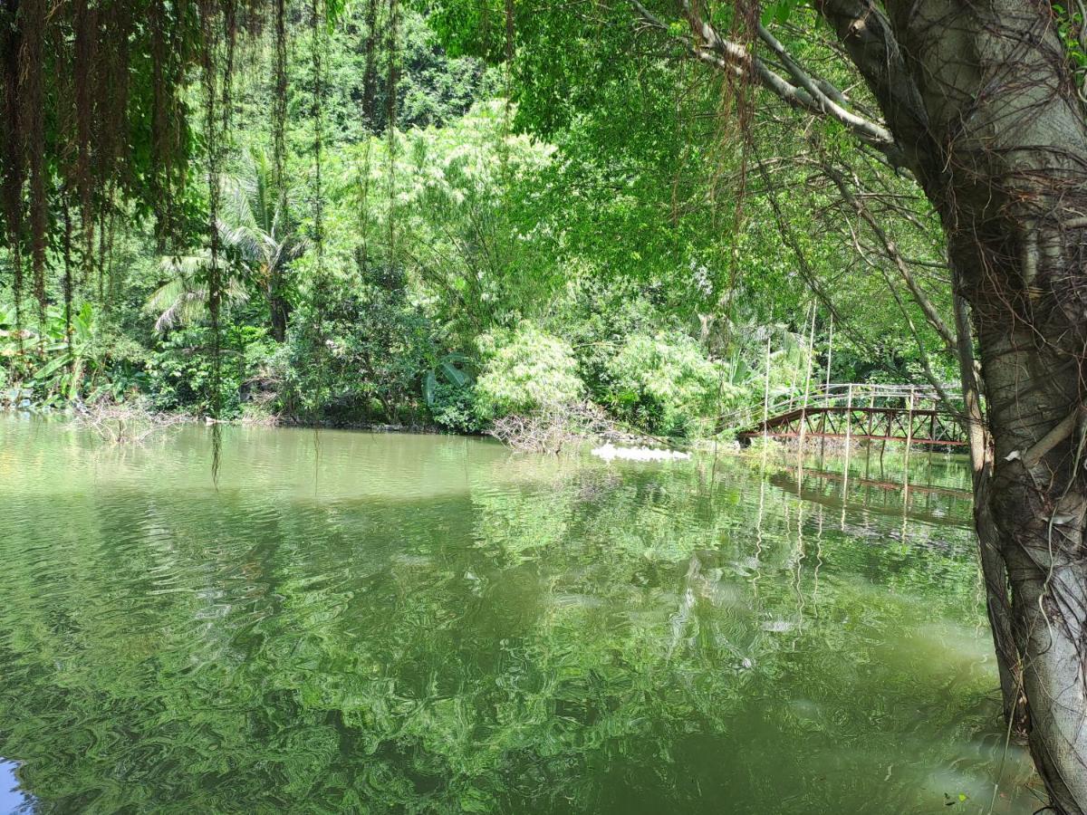 Thung Sen Tam Coc Chalets Ніньбінь Екстер'єр фото