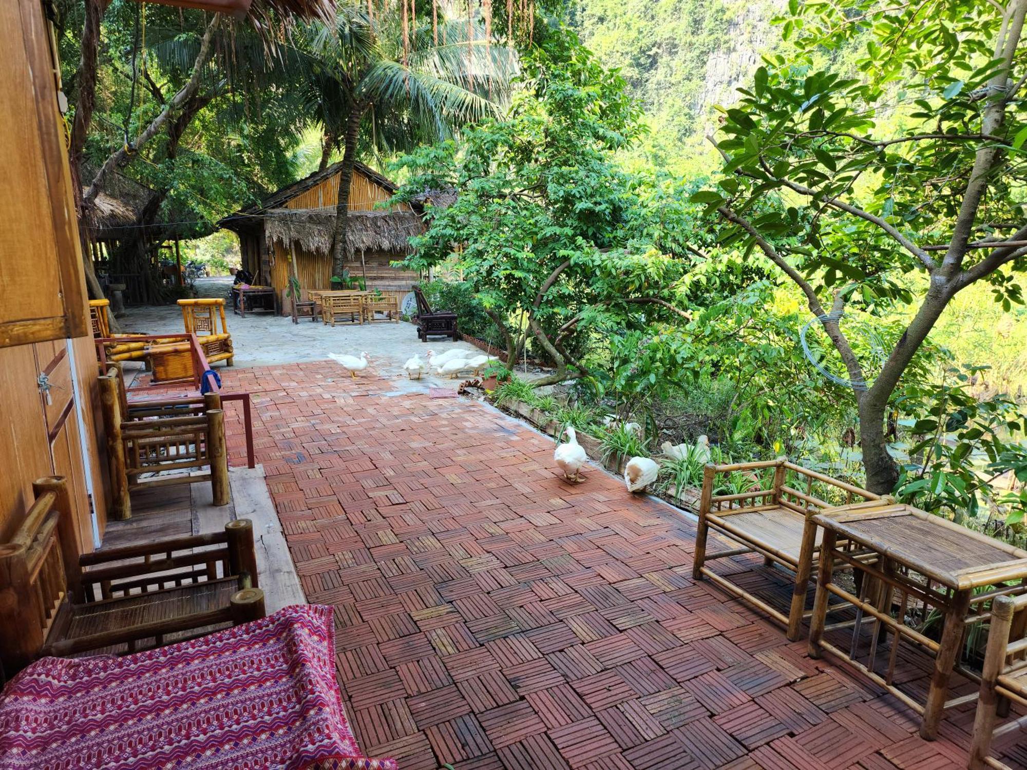 Thung Sen Tam Coc Chalets Ніньбінь Екстер'єр фото